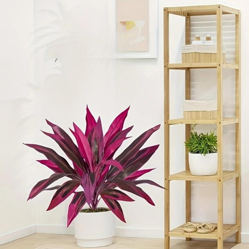 Dracaena Marginata - Plante artificielle Dracaena Marginata 60 haut