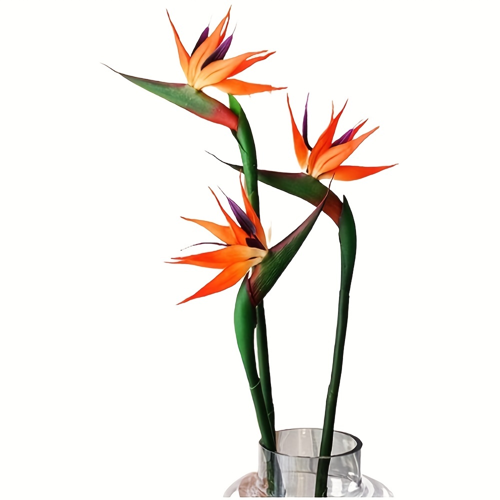 Bird Paradise Strelitzia - Fleurs artificielles d'oiseau du paradis, 3