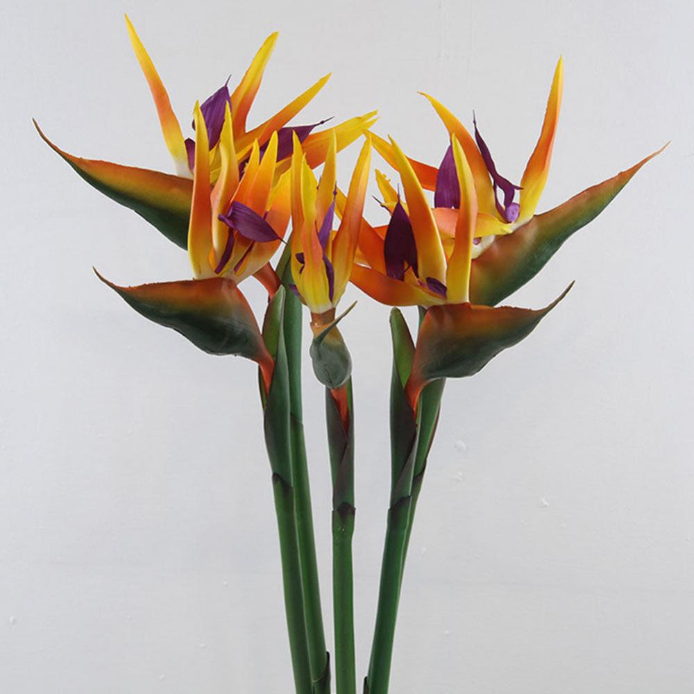 Bird Paradise Strelitzia - 1pc 80cm fleur oiseau du paradis