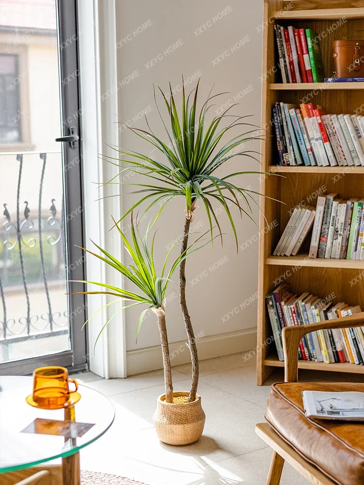 Dracaena Marginata - Simulation de plante verte légère de