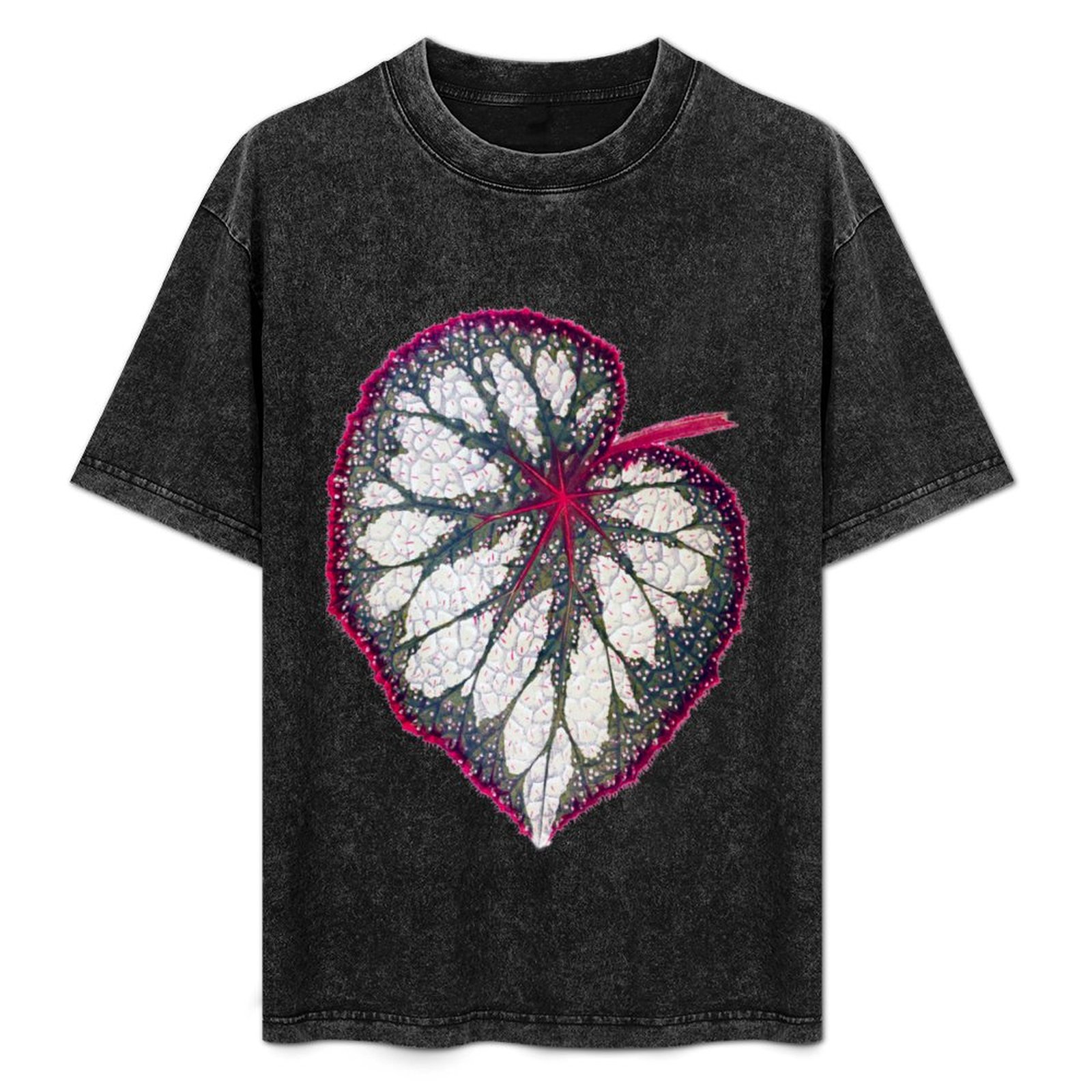 Begonia Rex - T-shirt Begonia rex, t-shirt simple pour