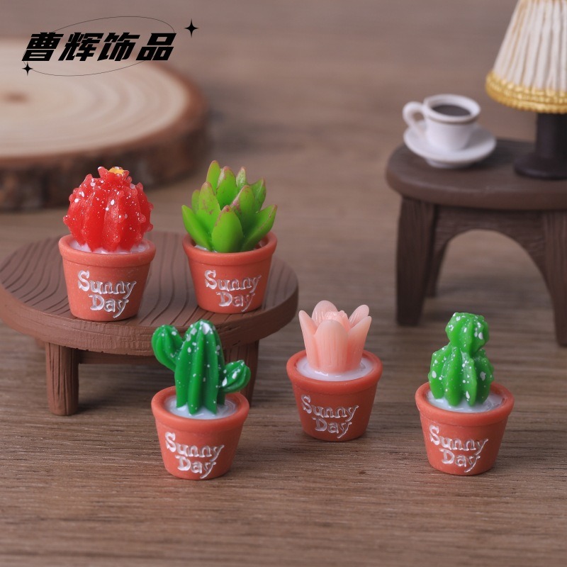 Echeveria Succulent - Simulation de plantes succulentes en pot,