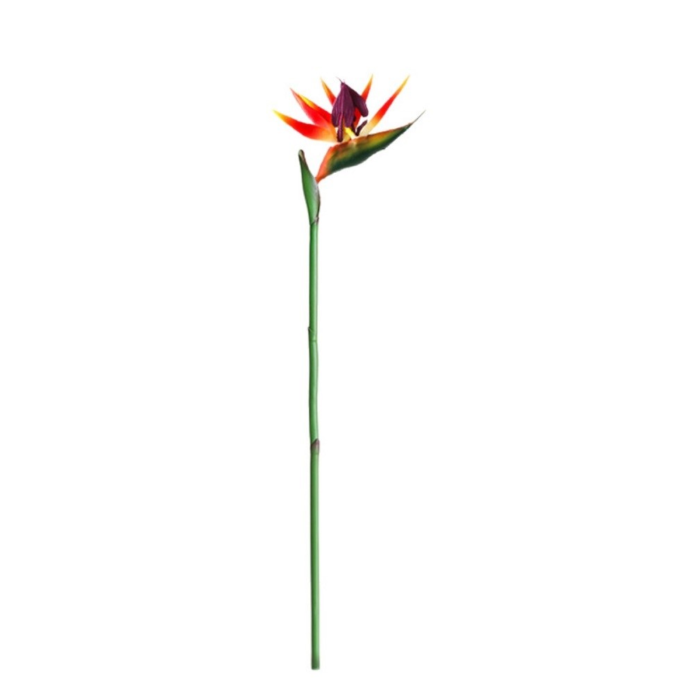 Nouvelles fleurs artificielles - Bird Paradise Strelitzia avis et prix