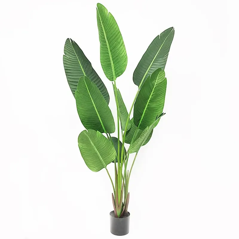 Plantes vertes artificielles d - Bird Paradise Strelitzia avis et prix