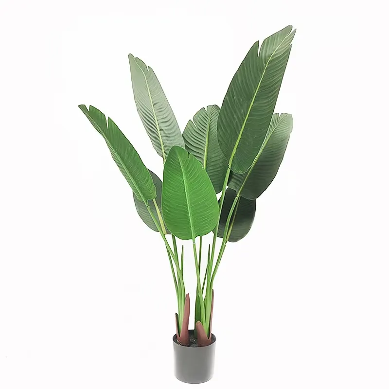 Plantes vertes artificielles d - Bird Paradise Strelitzia avis et prix