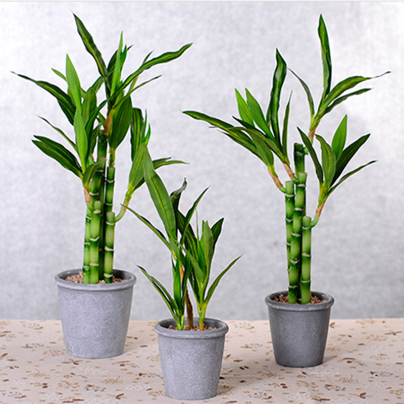 Nouveau 40cm rFtificial chance - Echeveria Succulent avis et prix