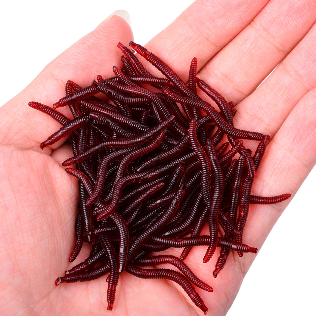 Lot d'appâts artificiels réali - Aglaonema Red avis et prix
