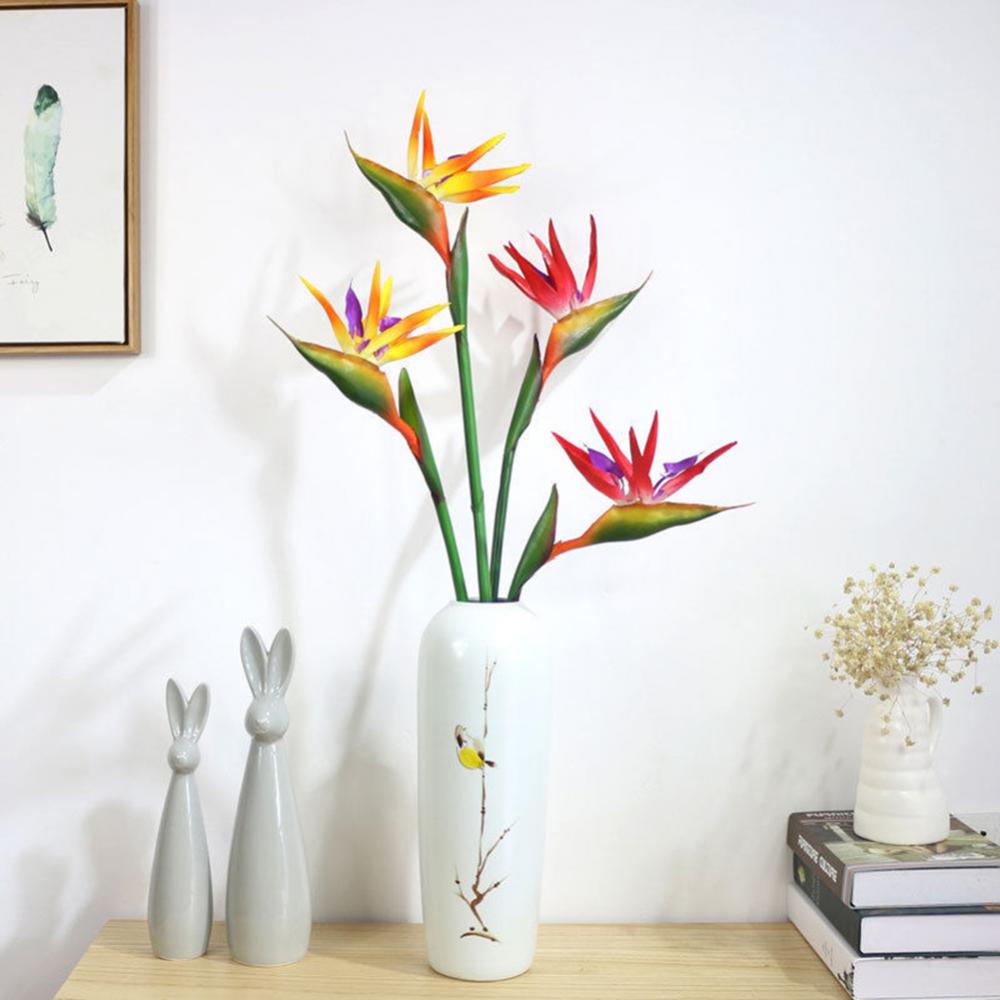 1pc 80cm fleur oiseau du parad - Bird Paradise Strelitzia avis et prix