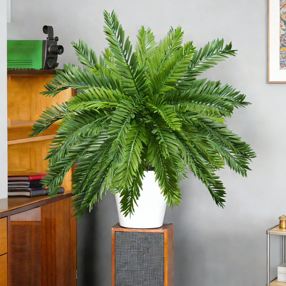 Plantes artificielles de palmi - Dracaena Marginata avis et prix