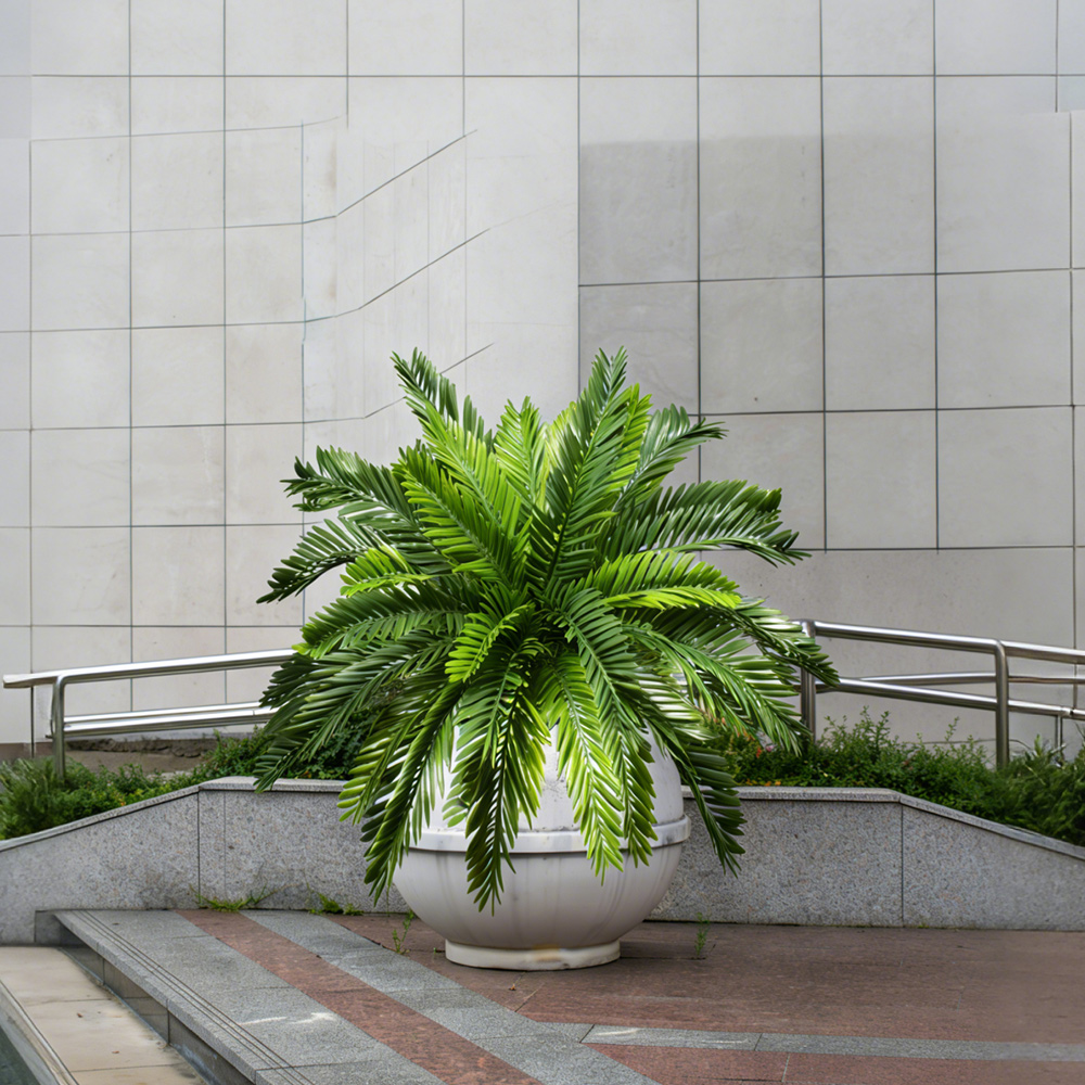 Plantes artificielles de palmi - Dracaena Marginata avis et prix