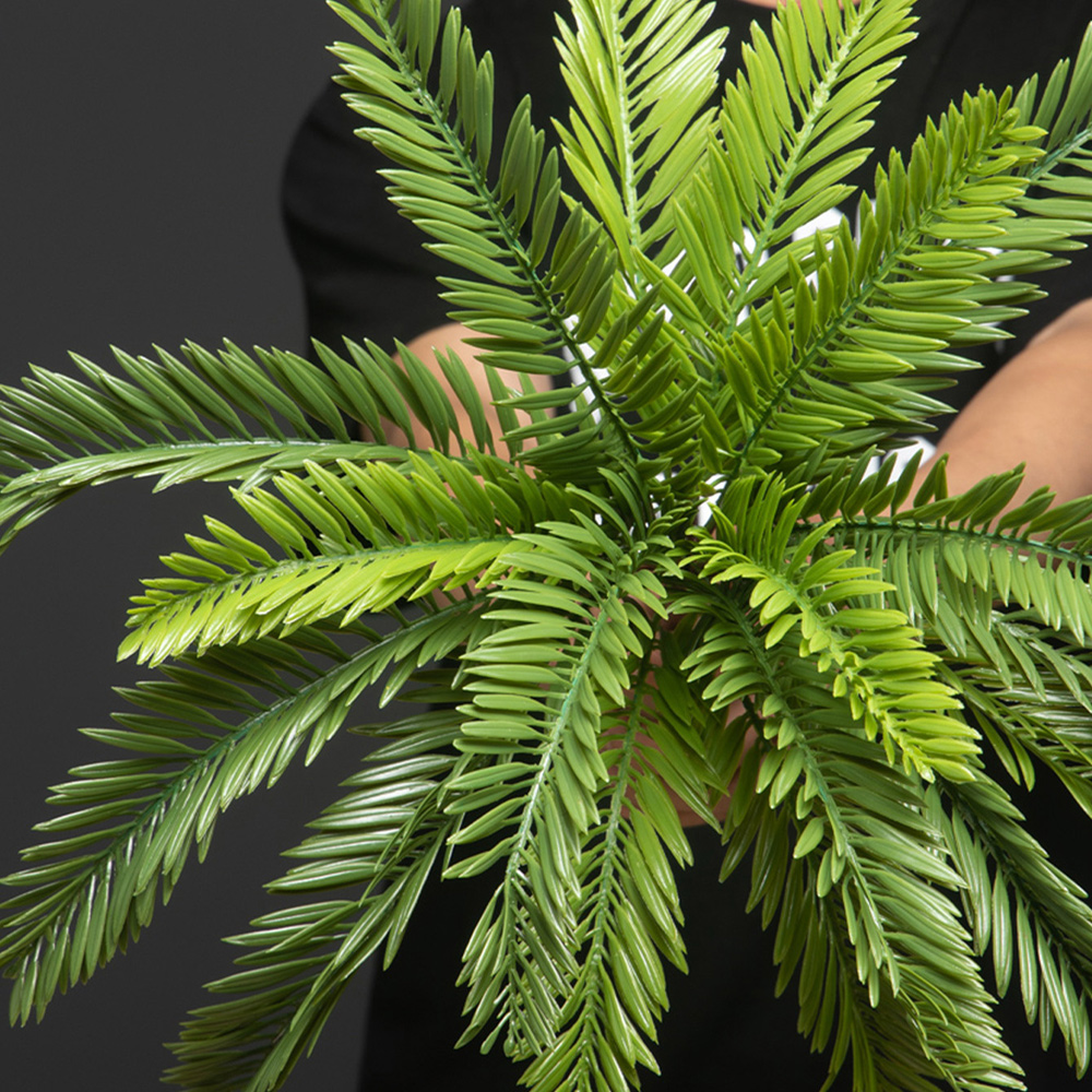 Plantes artificielles de palmi - Dracaena Marginata avis et prix