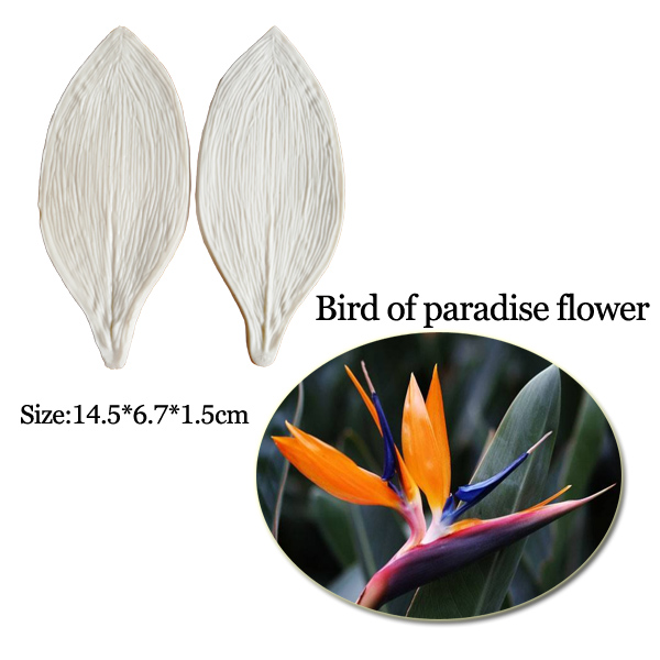 Grand moule en silicone en for - Bird Paradise Strelitzia avis et prix