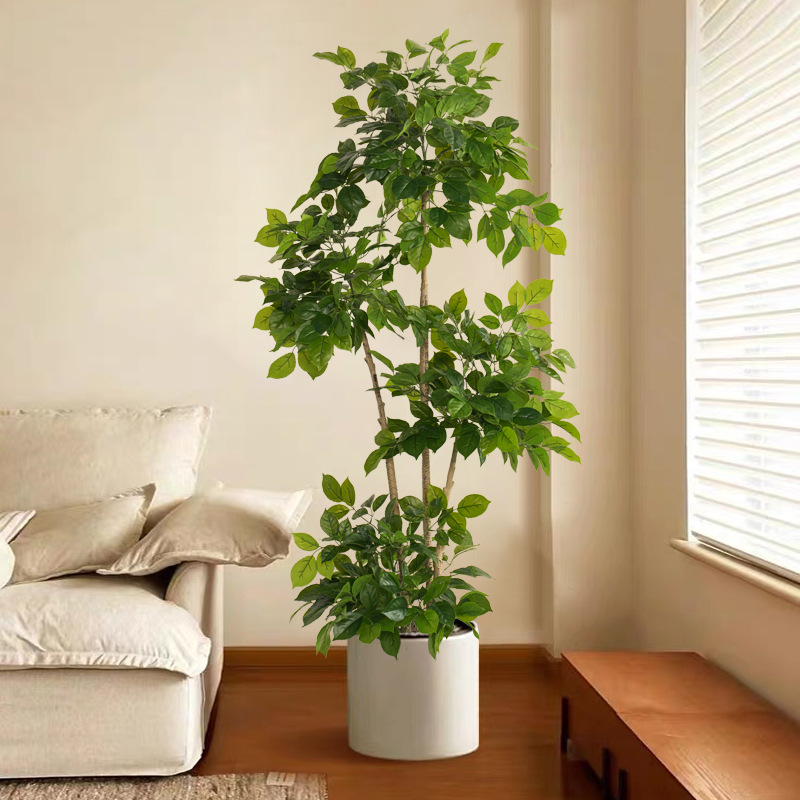 Grandes fausses plantes artifi - Ficus Lyrata Tree avis et prix