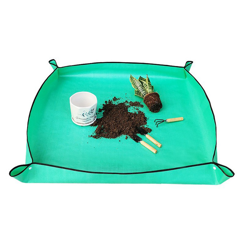 Tapis de repotage pour plantes - Echeveria Succulent avis et prix
