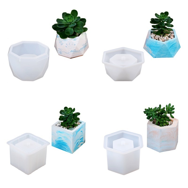 Pot de fleurs succulentes en S - Echeveria Succulent avis et prix