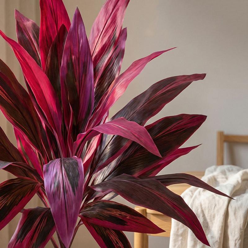 Grand arbre artificiel Dracaen - Dracaena Marginata avis et prix