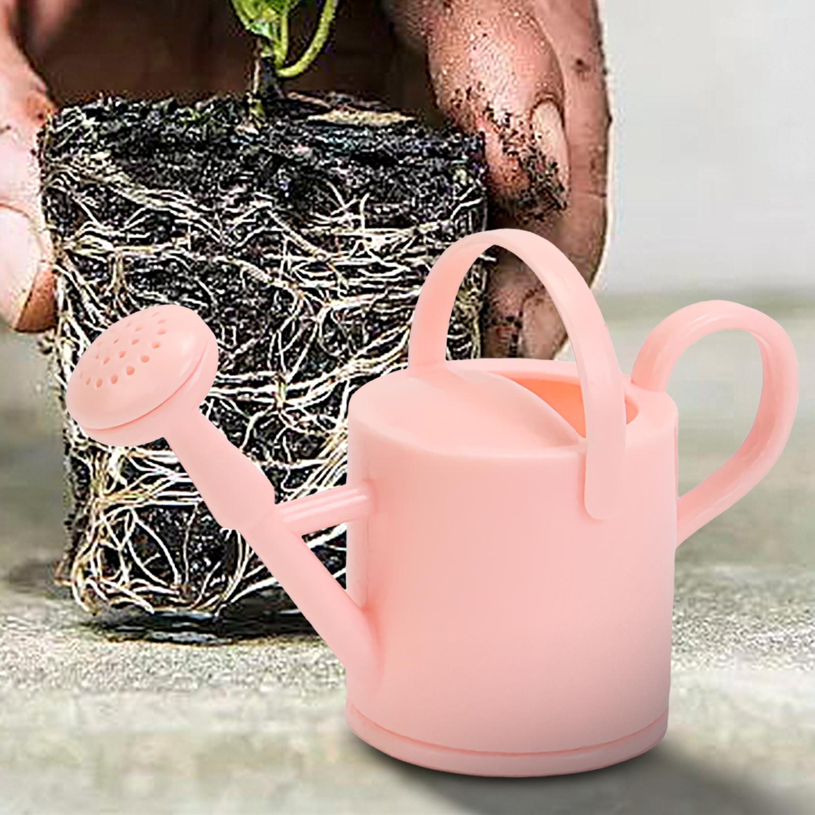 Arrosoir flexible pour enfants - Echeveria Succulent avis et prix