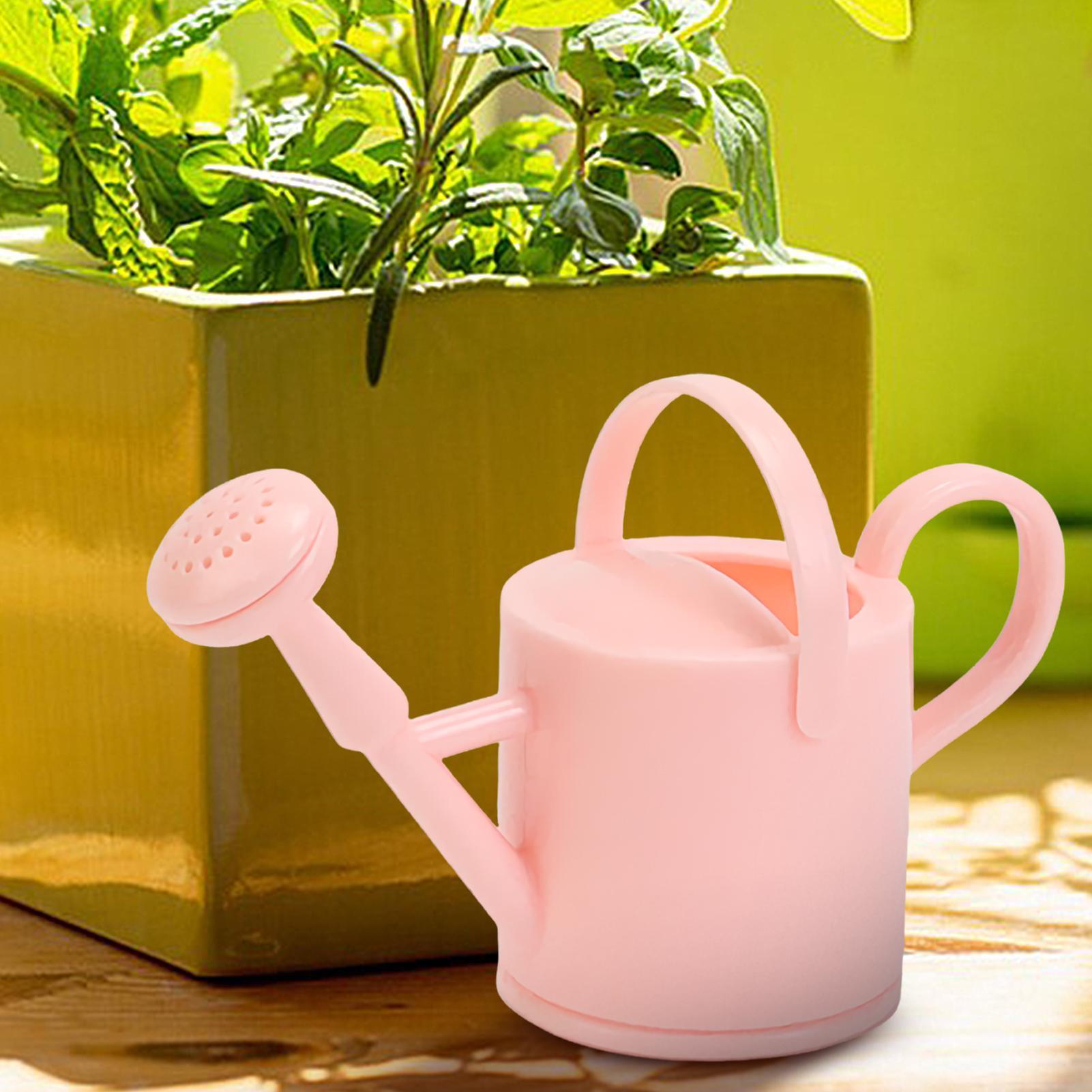 Arrosoir flexible pour enfants - Echeveria Succulent avis et prix