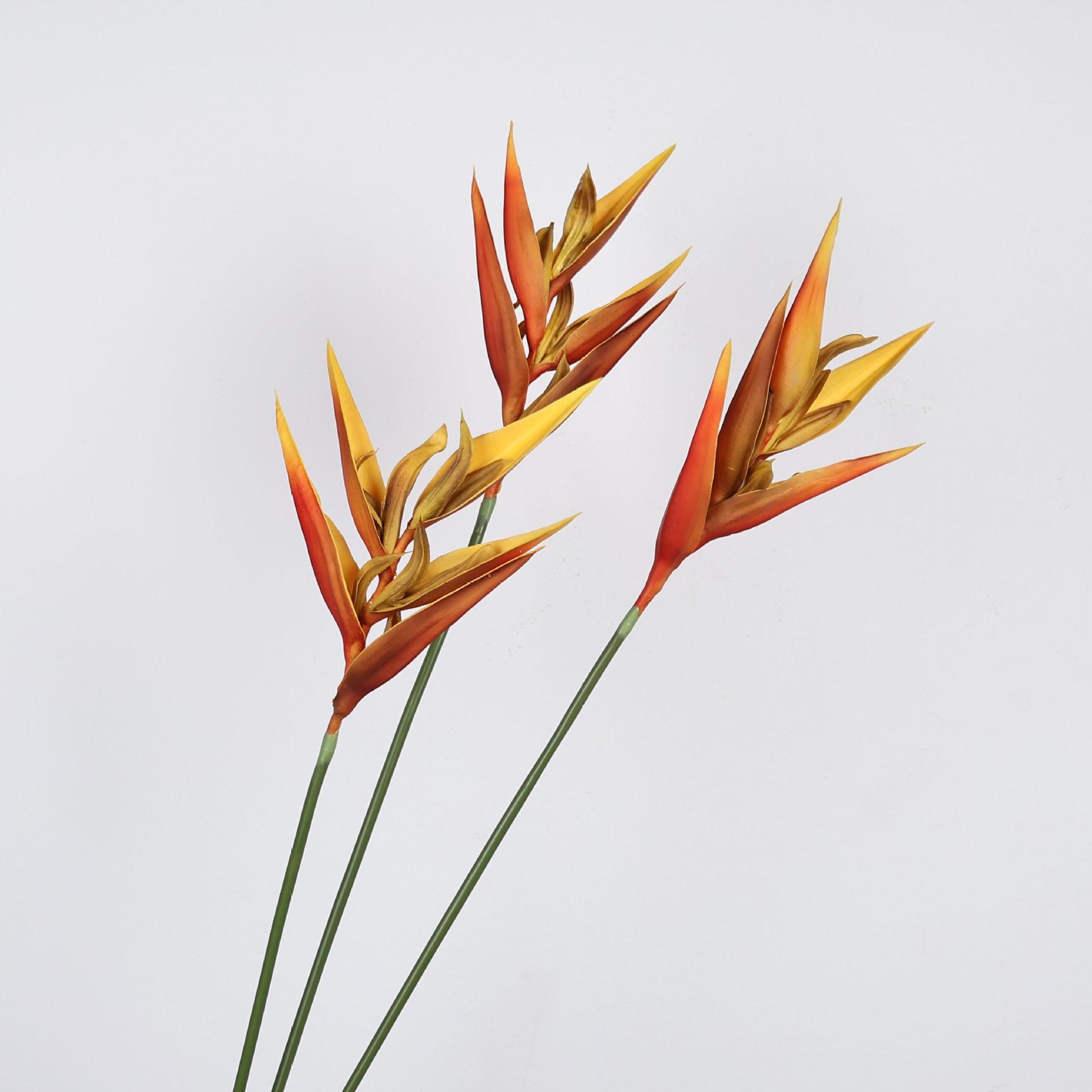Plante artificielle d'oiseau d - Bird Paradise Strelitzia avis et prix