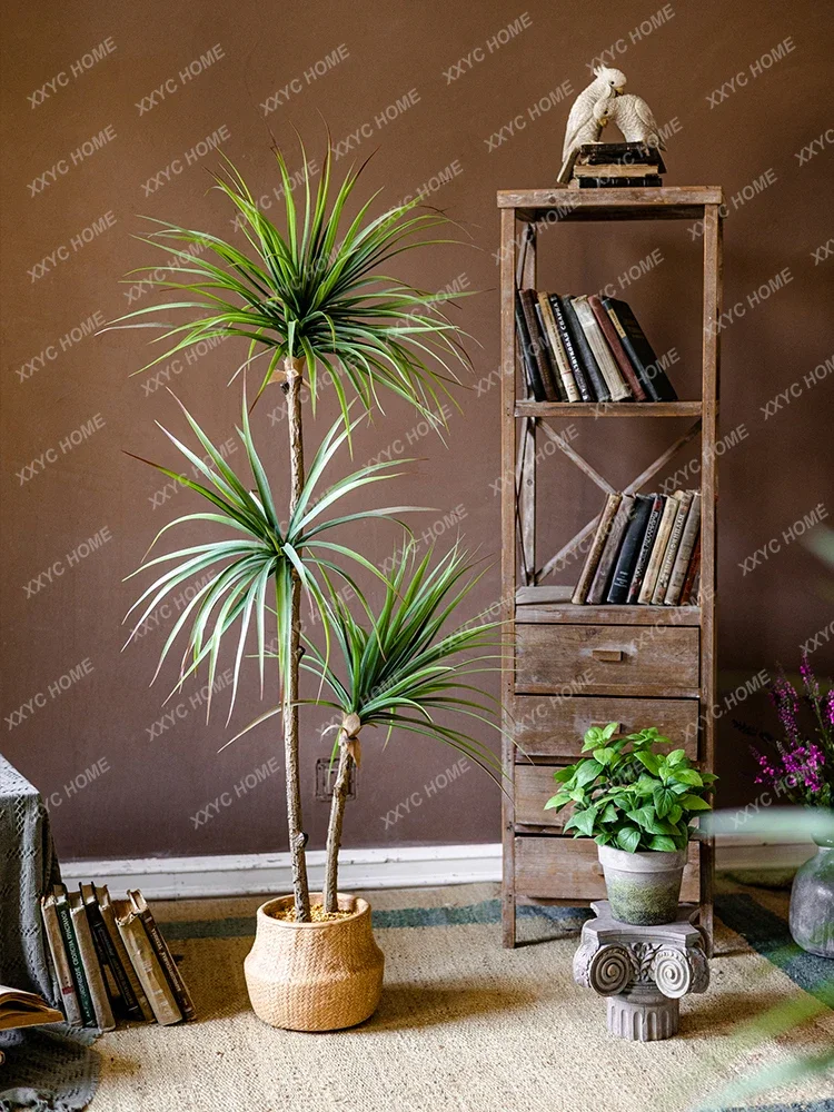 Simulation de plante verte lég - Dracaena Marginata avis et prix