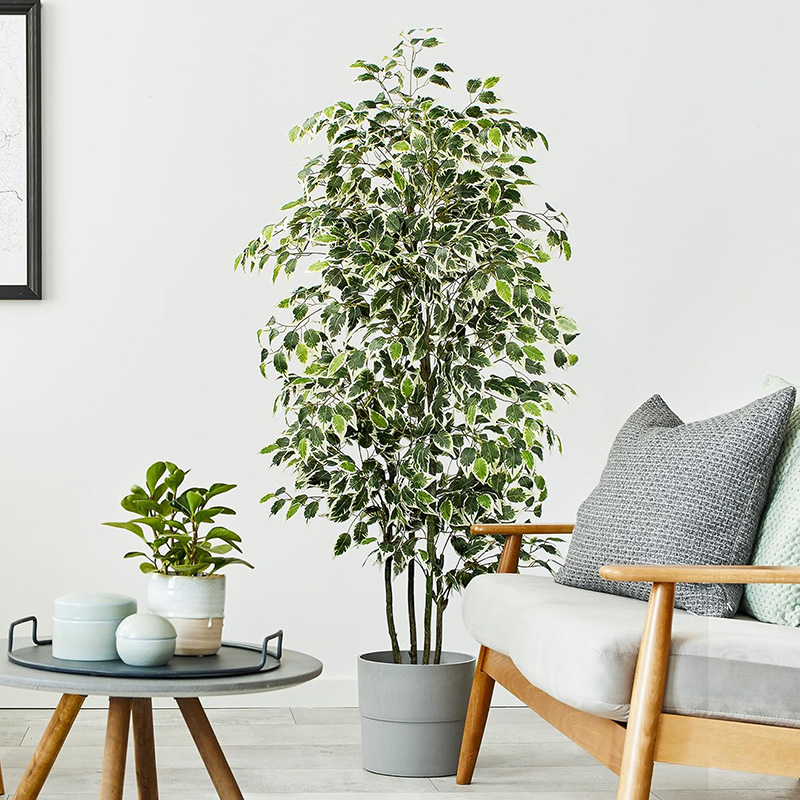Arbre de Ficus Artificiel 70 c - Ficus Lyrata Tree avis et prix
