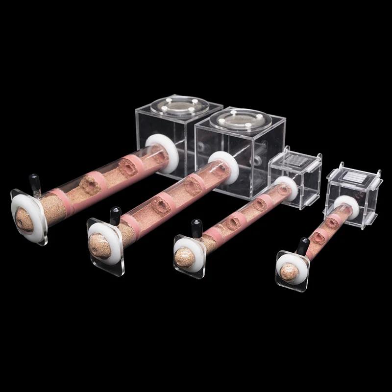 Fourmilière DIY en tubes de ba - Begonia Rex avis et prix