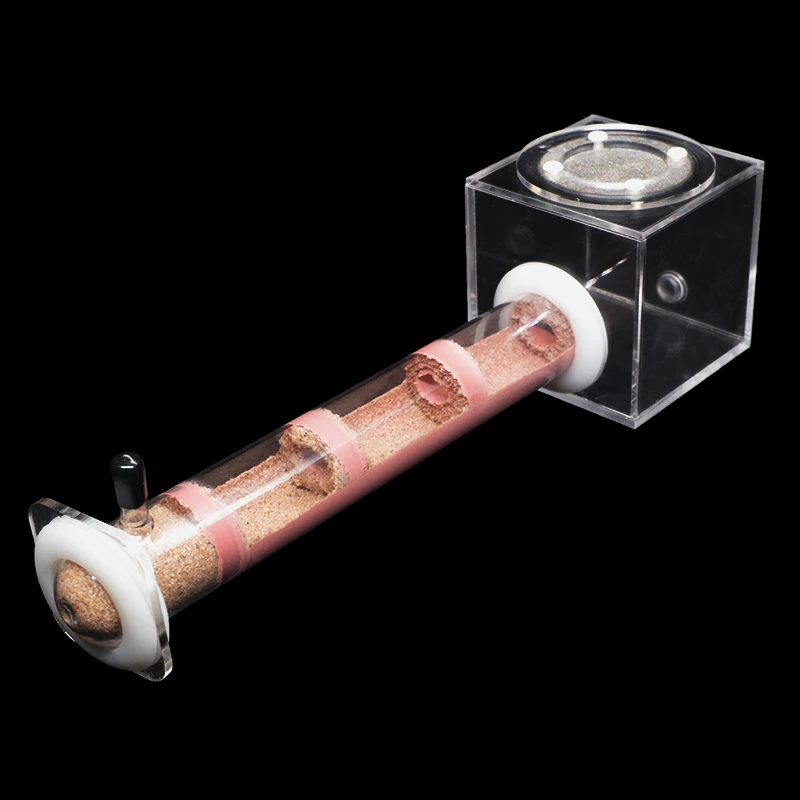 Fourmilière DIY en tubes de ba - Begonia Rex avis et prix