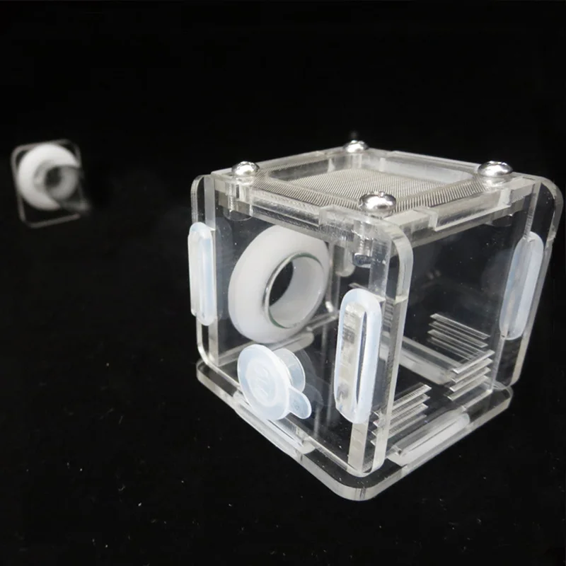 Fourmilière DIY en tubes de ba - Begonia Rex avis et prix