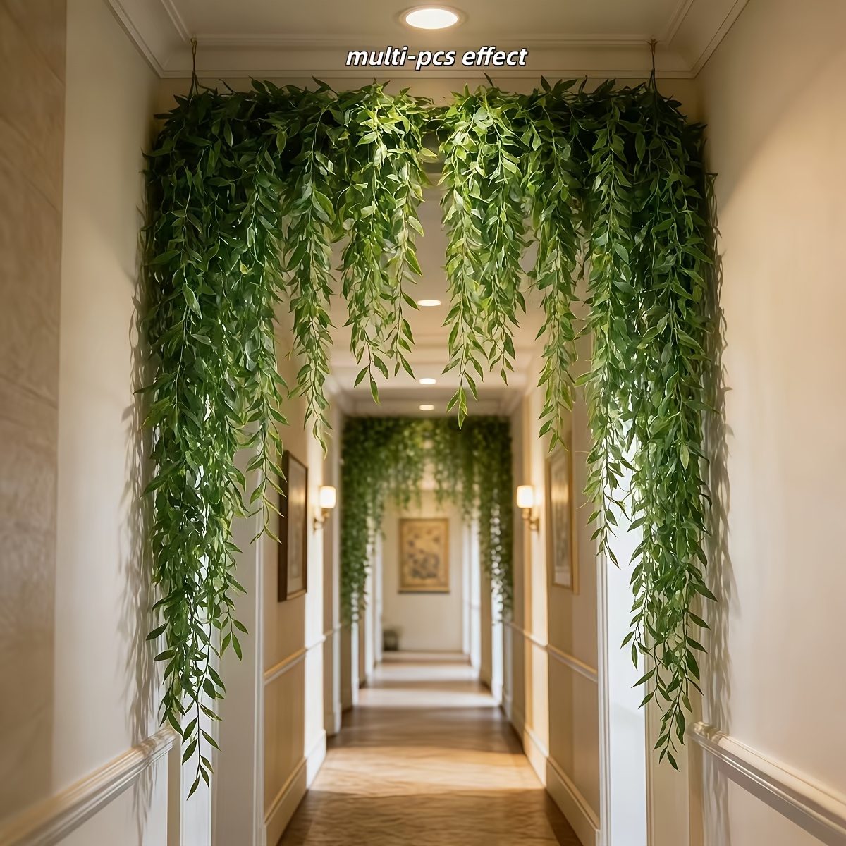 10 pièces de vigne de saule ar - Dracaena Marginata avis et prix