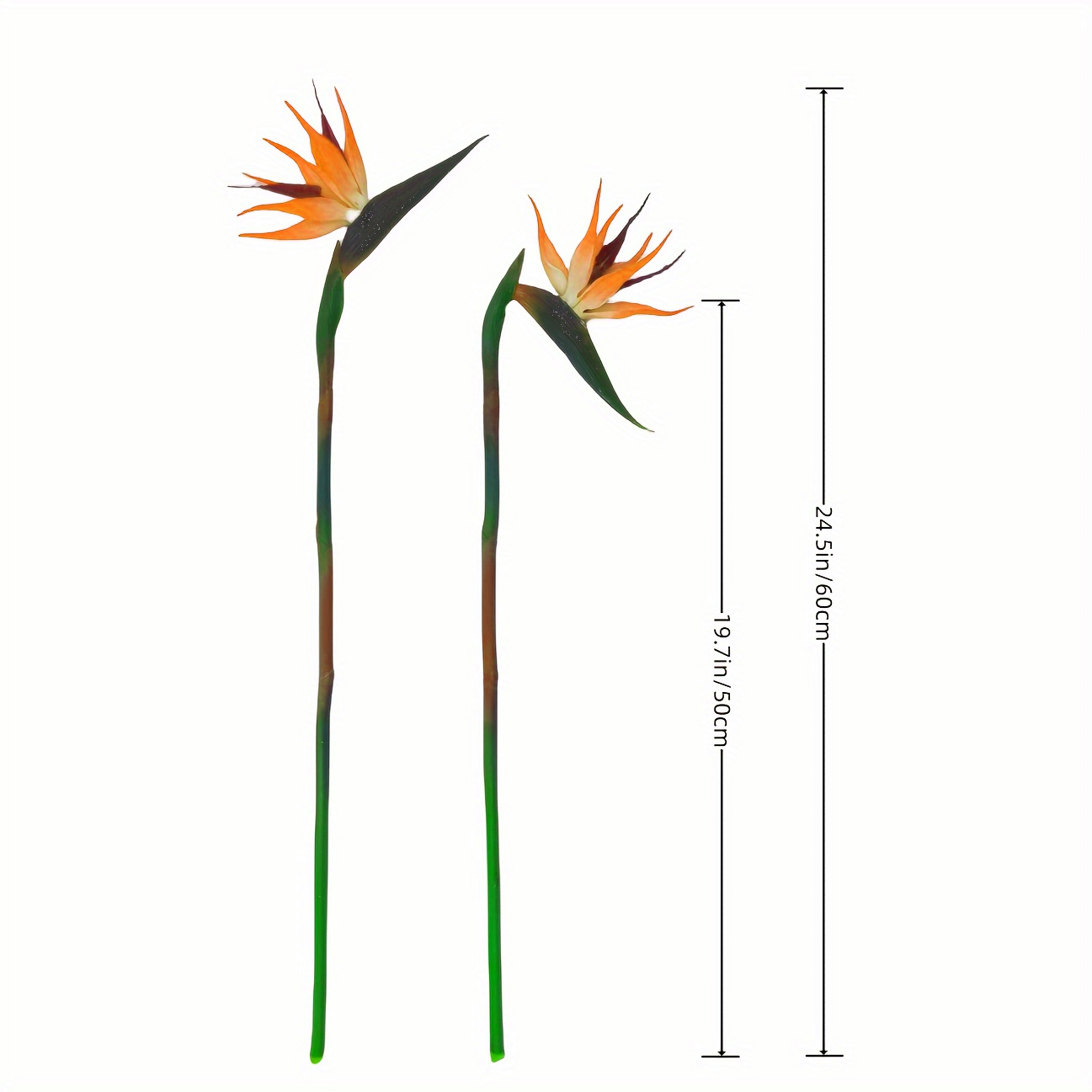 Fleurs artificielles d'oiseau  - Bird Paradise Strelitzia avis et prix