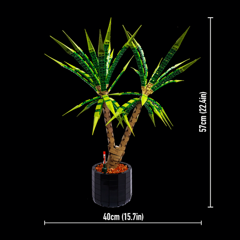 1961 pièces MOC Dracaena Margi - Dracaena Marginata avis et prix