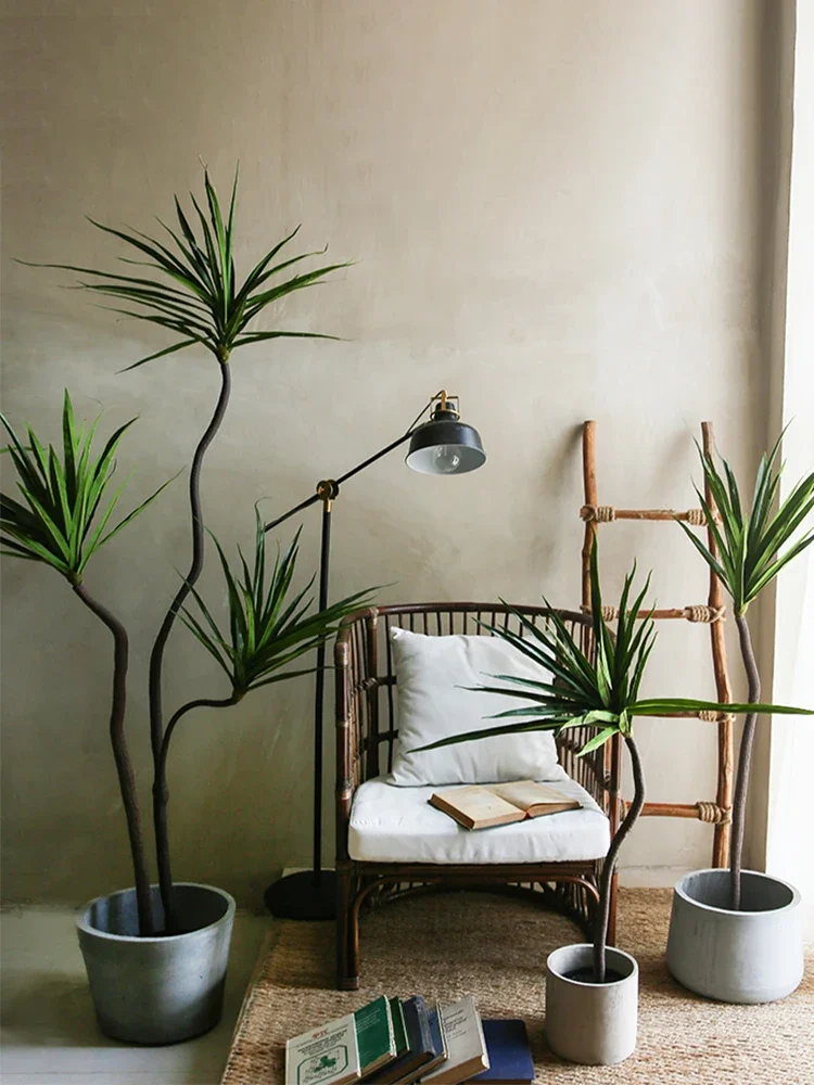 Plante de Simulation Dracaena  - Dracaena Marginata avis et prix
