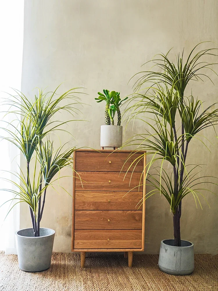 Plante de Simulation Dracaena  - Dracaena Marginata avis et prix