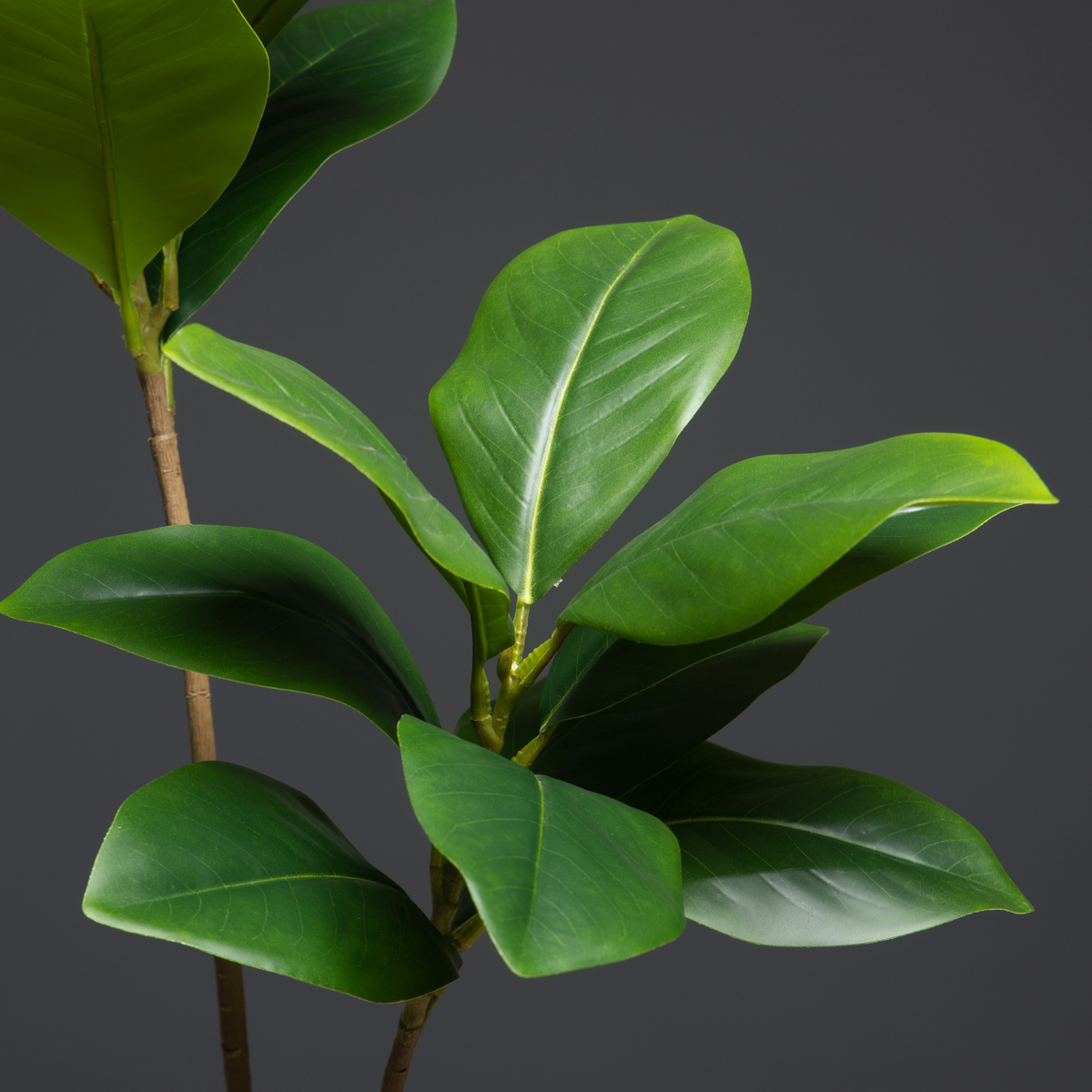 Grands plantes artificielles d - Dracaena Marginata avis et prix