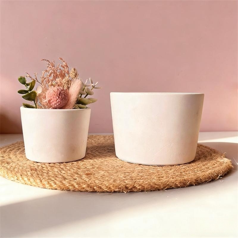 Moule en silicone pour pot de  - Echeveria Succulent avis et prix
