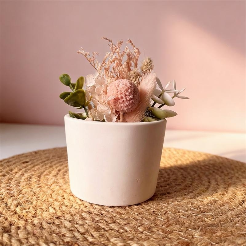 Moule en silicone pour pot de  - Echeveria Succulent avis et prix
