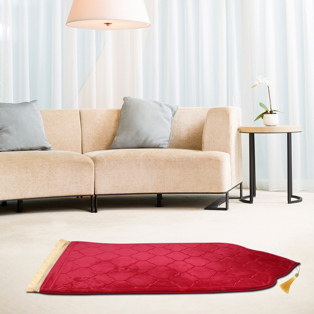 Tapis de prière de voyage à ge - Maranta Prayer Plant avis et prix