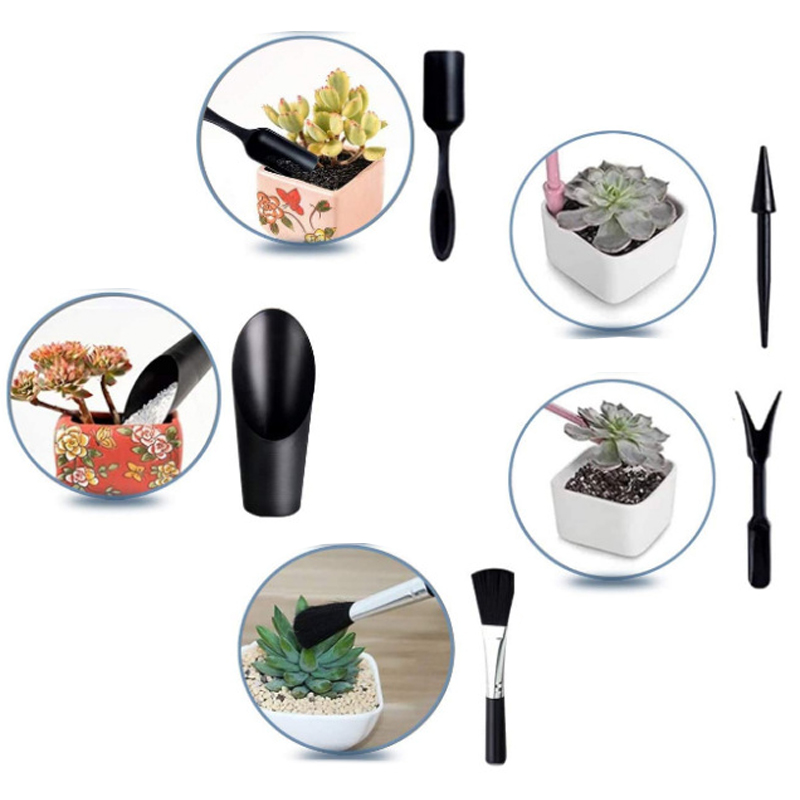 Mini ensemble d'outils de jard - Echeveria Succulent avis et prix