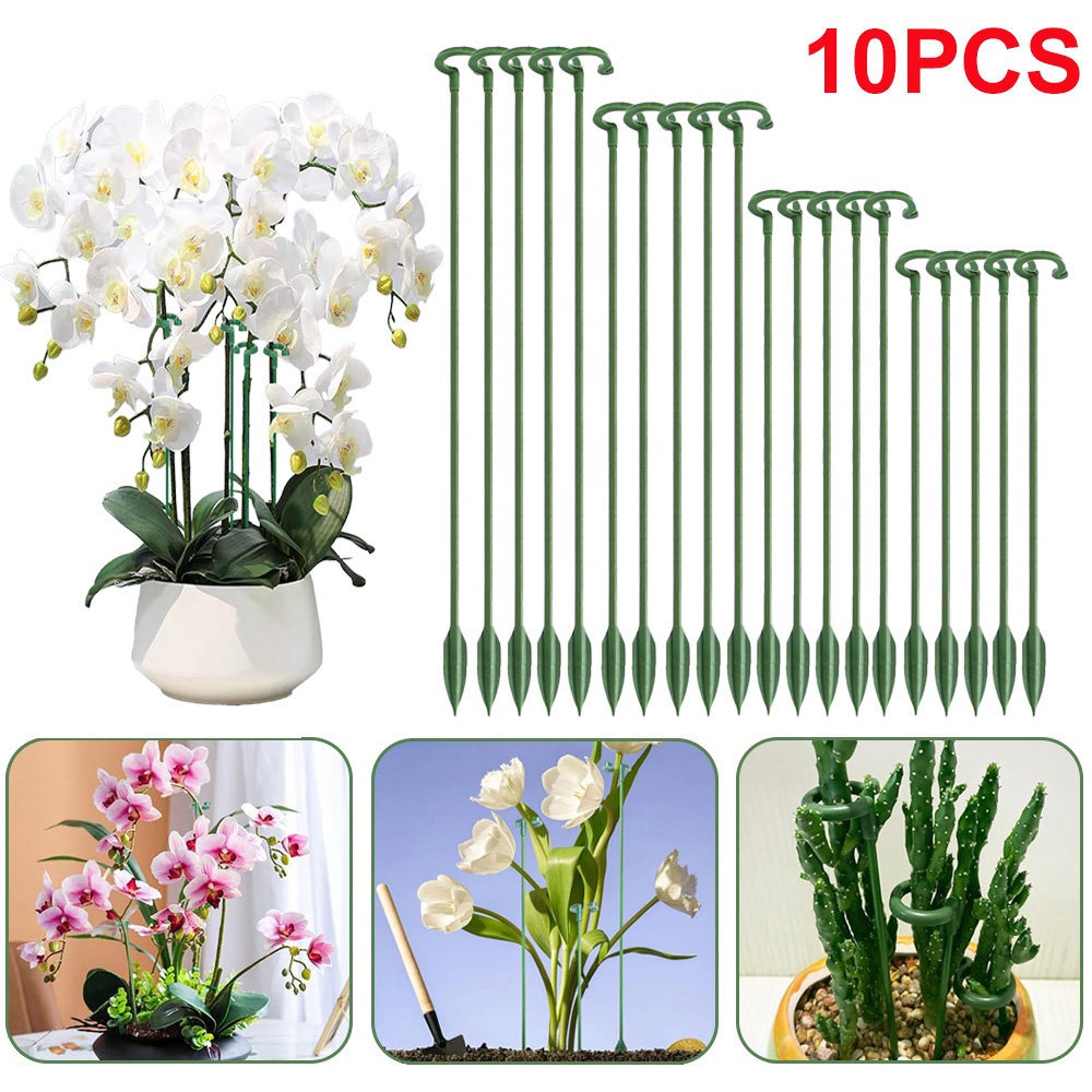 5/10 piquets de support pour p - Echeveria Succulent avis et prix