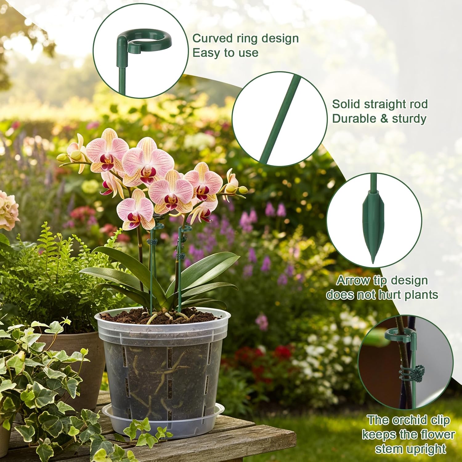 5/10 piquets de support pour p - Echeveria Succulent avis et prix