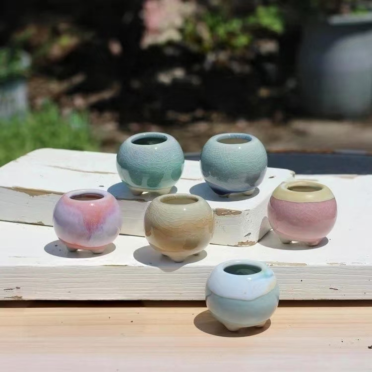 6 pièces Mini pot de fleurs su - Echeveria Succulent avis et prix