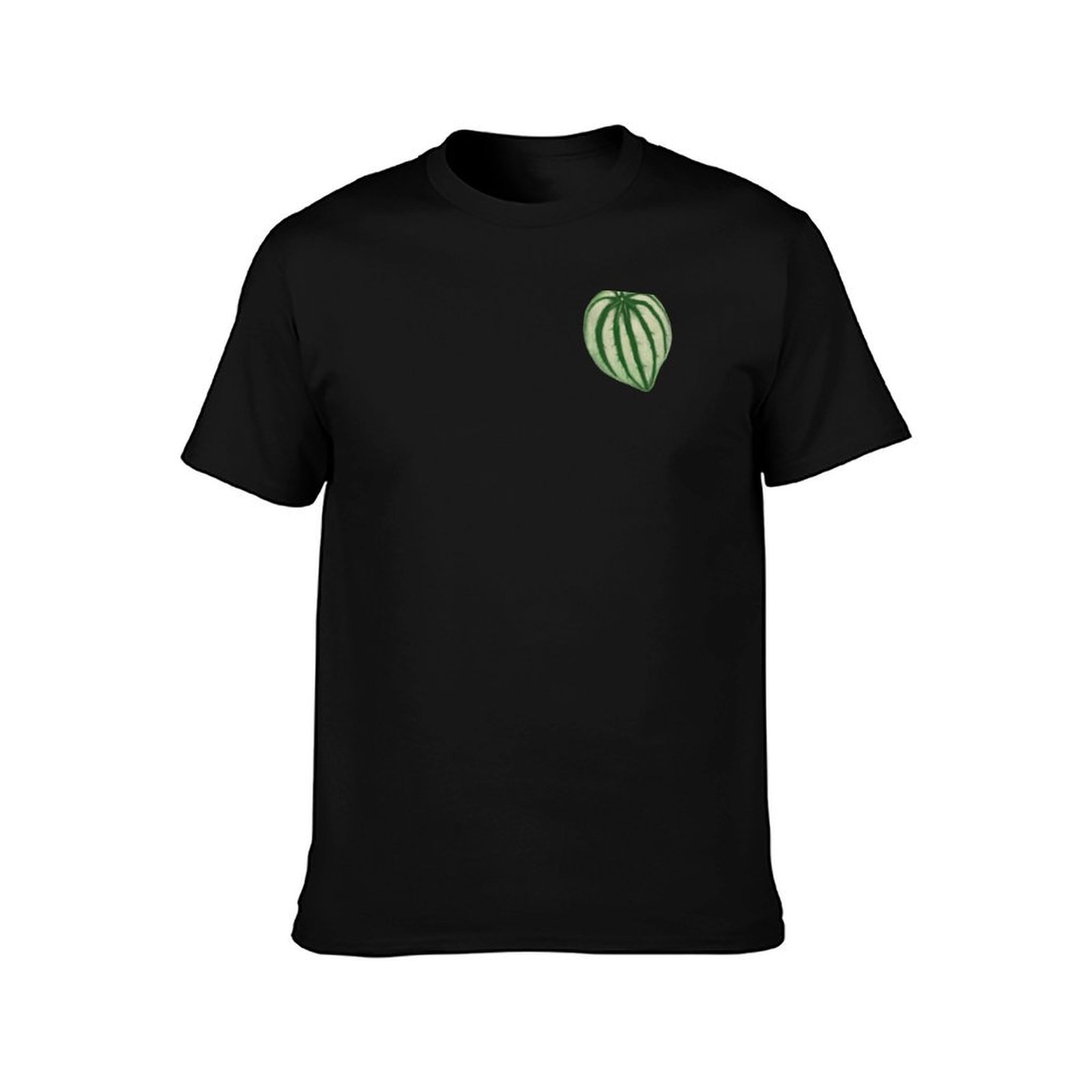 T-shirt Watermelon Peperomia,  - Peperomia Watermelon avis et prix