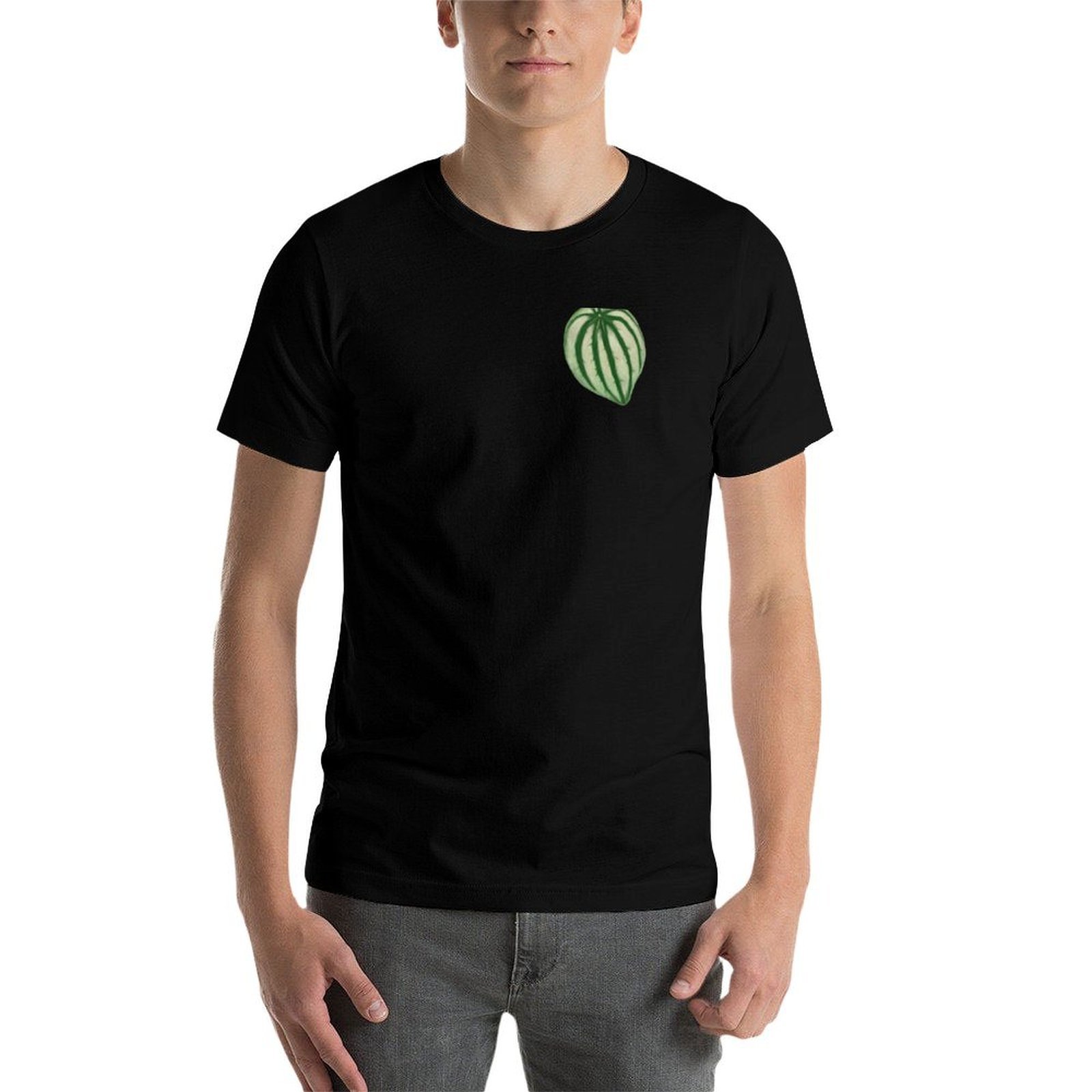 T-shirt Watermelon Peperomia,  - Peperomia Watermelon avis et prix