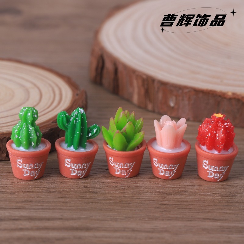 Simulation de plantes succulen - Echeveria Succulent avis et prix