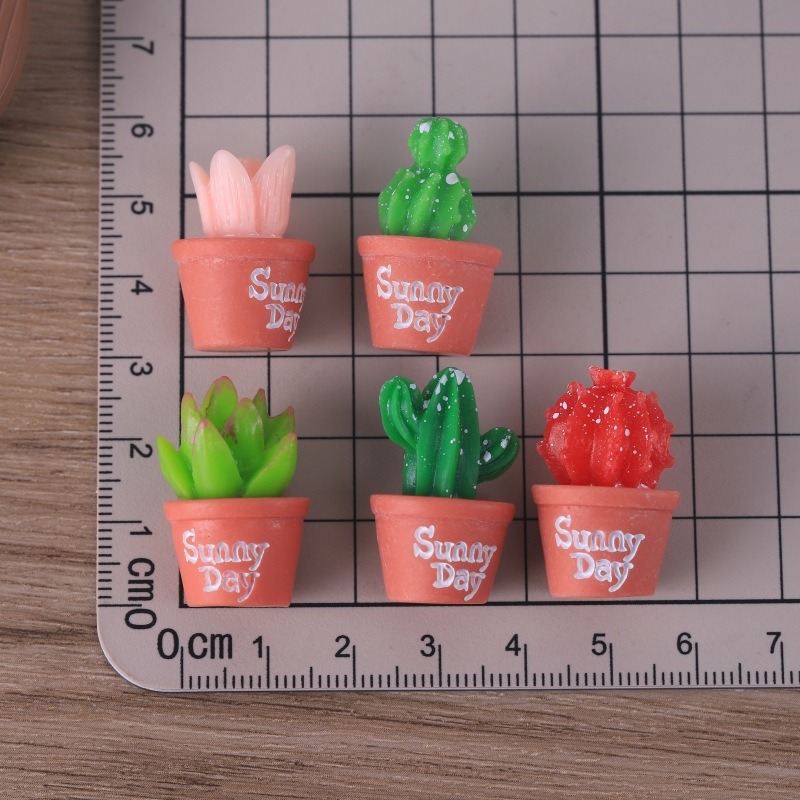 Simulation de plantes succulen - Echeveria Succulent avis et prix