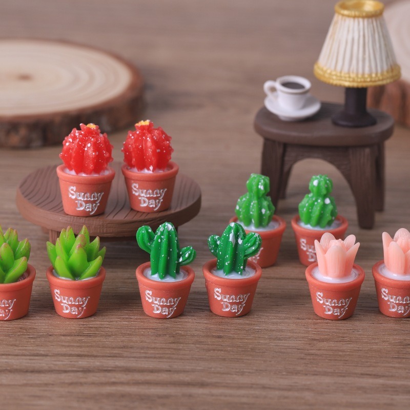 Simulation de plantes succulen - Echeveria Succulent avis et prix
